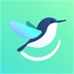 蜂鸟血压v1.0