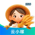 云小稼V45