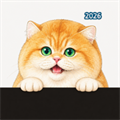 在呢-会管你的猫V1.1.0